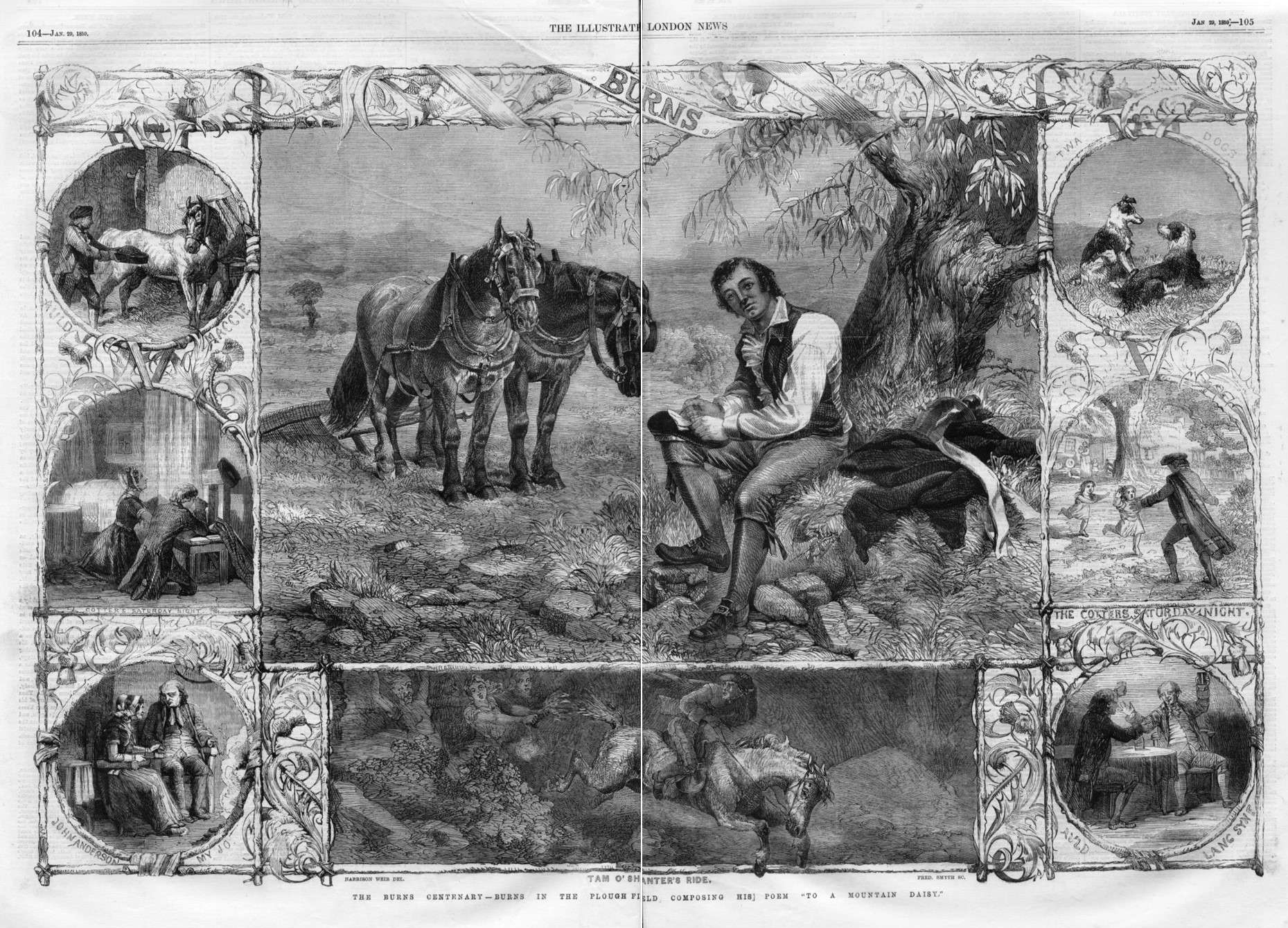 Burns in a ploughed field
